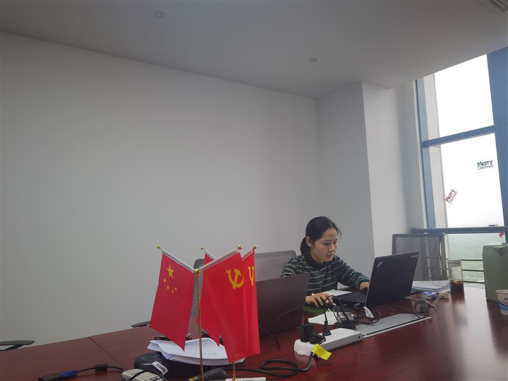 年报审计-安徽矽磊 (2).jpg